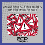 Featured photo for blog "Warning Signs that Your Property has Oversaturated Soils"